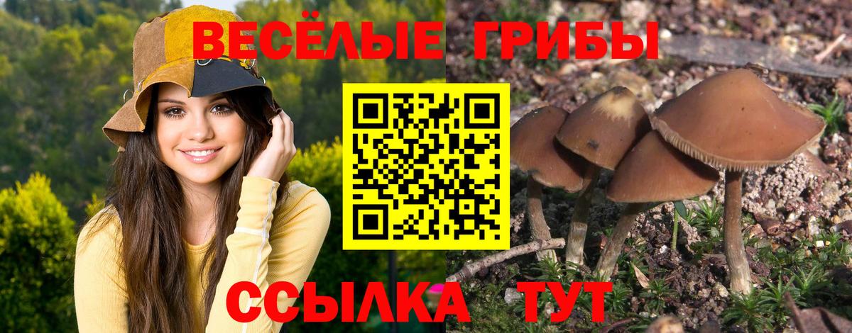 Псилоцибиновые грибы прущие грибы Сухой Лог